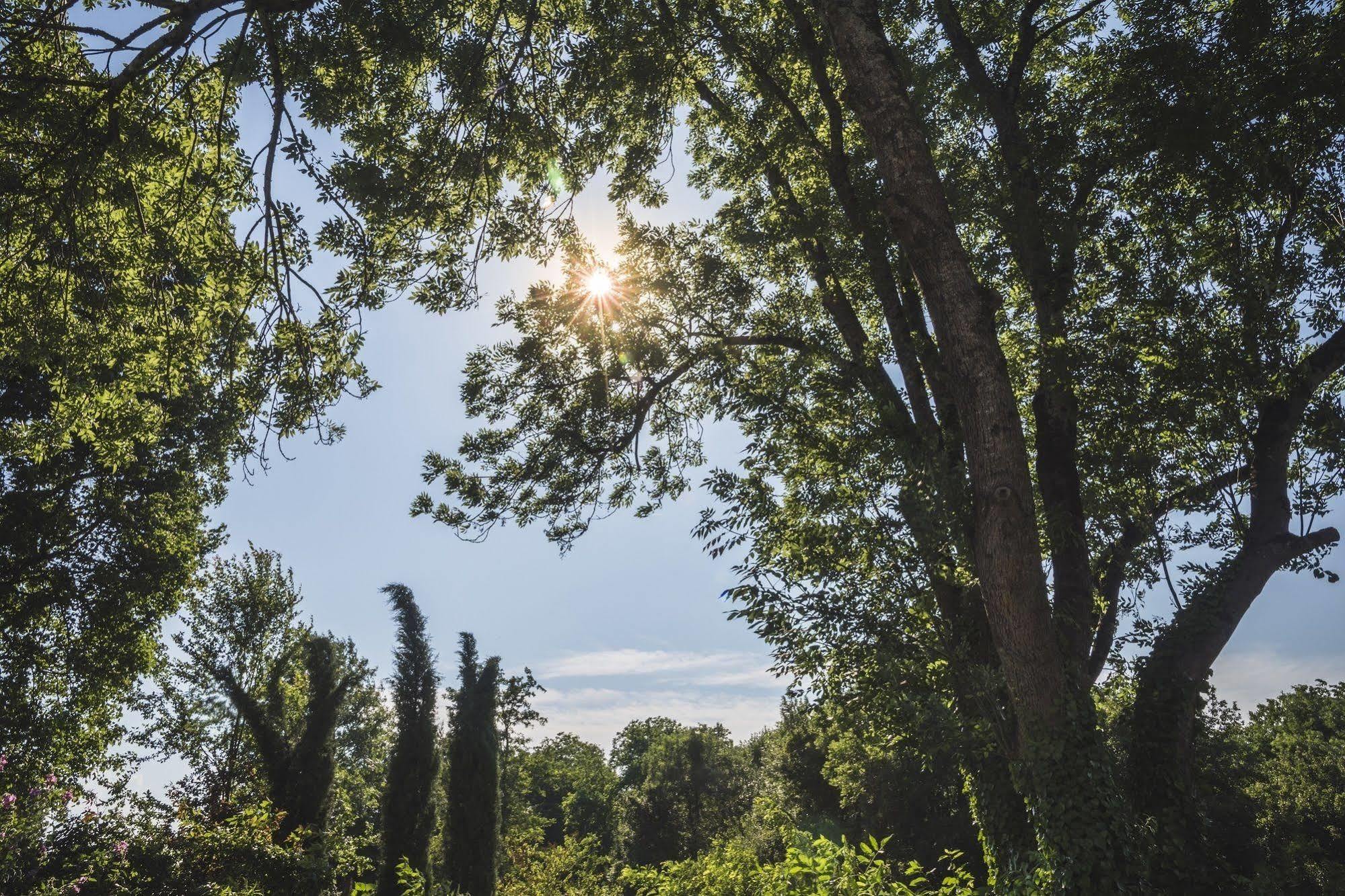 Domaine De Terrac Panzió Rimont Kültér fotó